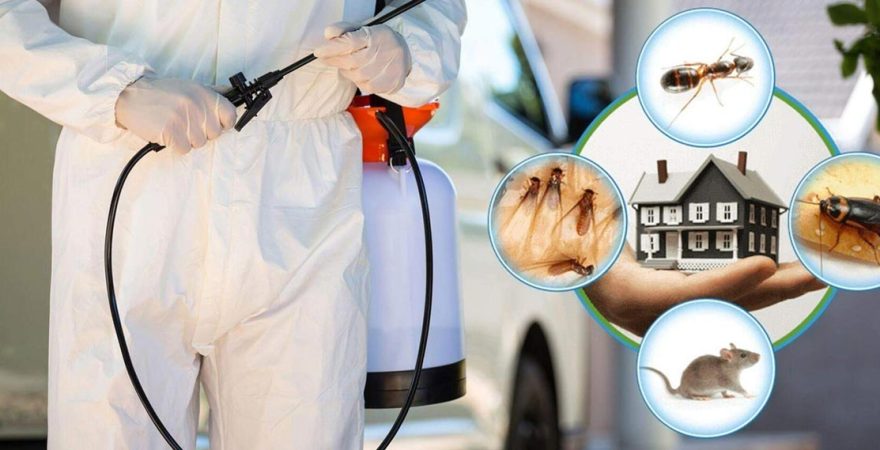 Güzelyalı Böcek İlaçlama