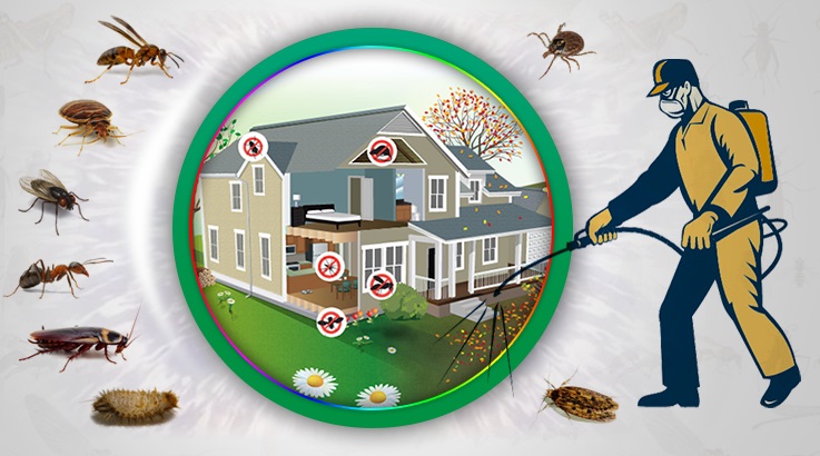 Güzelyalı Böcek İlaçlama