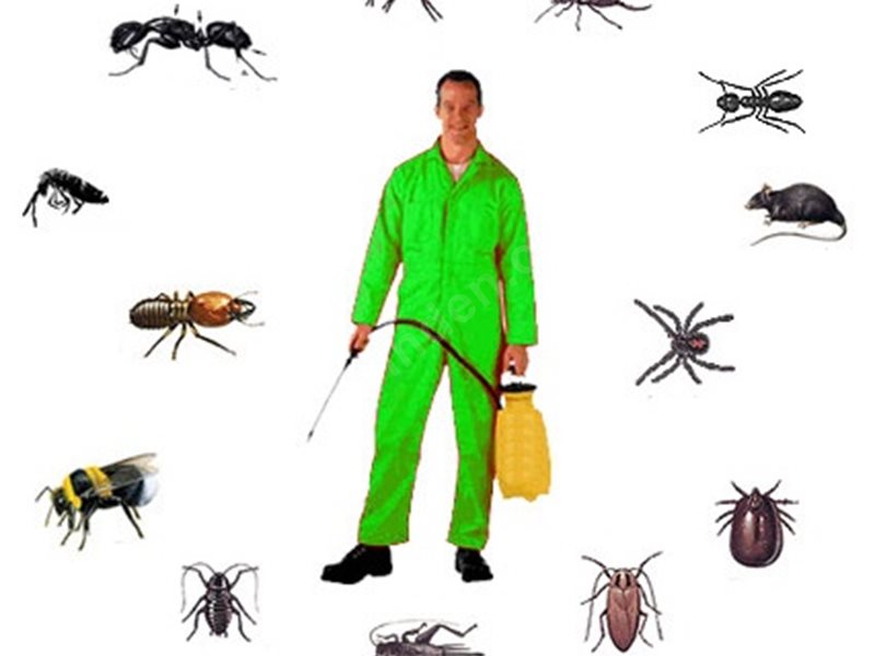 Güzelyalı Böcek İlaçlama